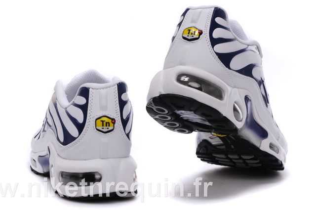 nike tn 2010 bleu blanc (2).JPG